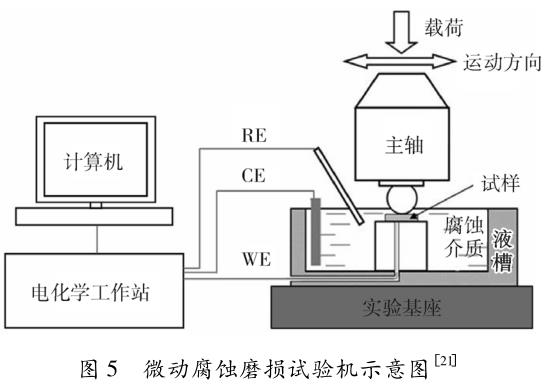 1712571371113597.jpg t5.jpg